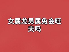 女属龙男属兔会旺夫吗：