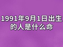 1991年9月1日出生的人是什么命:有贵人相助（受人敬重）