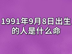 1991年9月8日出生的人是什