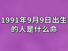 1991年9月9日出生的人是什