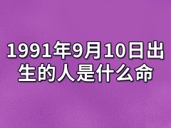 1991年9月10日出生的人是什么命:夫妻和睦（中年运势盛）