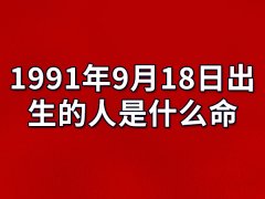 1991年9月18日出生的人是什