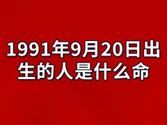 1991年9月20日出生的人是什