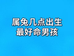 属兔几点出生最好命男孩：卯时/午时/戌时