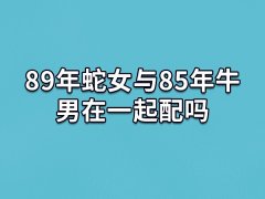 89年蛇女与85年牛男在一起