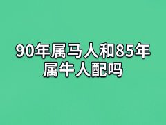 90年属马人和85年属牛人配