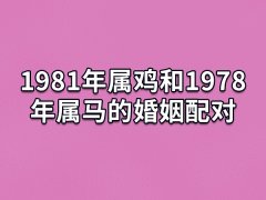 1981年属鸡和1978年属马的