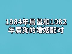 1984年属鼠和1982年属狗的婚