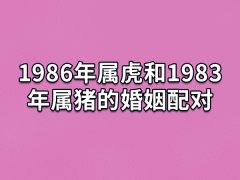 1986年属虎和1983年属猪的婚