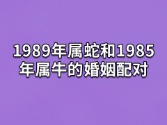 1989年属蛇和1985年属牛的婚