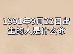 1991年9月22日出生的人是什