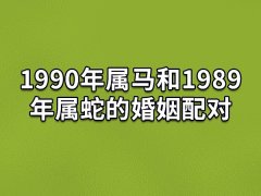 1990年属马和1989年属蛇的婚姻配对：速配度高(相互欣赏)