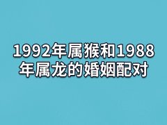 1992年属猴和1988年属龙的婚