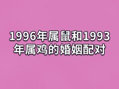 1996年属鼠和1993年属鸡的婚