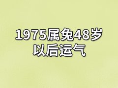 1975属兔48岁以后运气：事业发展顺利（花钱大手笔）