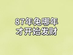 87年兔哪年才开始发财：狗年/鼠年/兔年