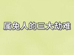 属兔人的三大劫难：财富危机（需要花钱摆平）