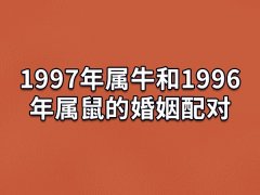 1997年属牛和1996年属鼠的婚