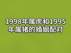 1998年属虎和1995年属猪的婚