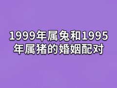 1999年属兔和1995年属猪的婚姻配对：三合属相(家庭安定)