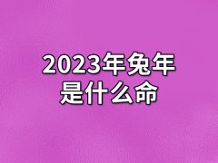 2023年兔年是什么命：水兔之命（贵人运极好）