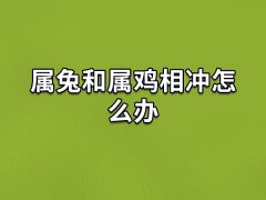 属兔和属鸡相冲怎么办：不要过多接触(不要干涉对方)