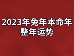 2023年兔年本命年整年运势：财运旺盛（容易有烂桃花）