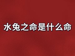 水兔之命是什么命：个性