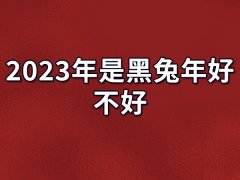 2023年是黑兔年好不好：运势旺盛（建议适当低调）