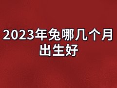 2023年兔哪几个月出生好：六月/七月/十月