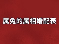 属兔的属相婚配表：属兔的十二属相婚配表