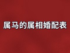 属马的属相婚配表:属马的