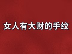 女人有大财的手纹：公印纹/凤眼纹/豪宅纹/星形纹/财运纹/遇贵纹