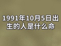 1991年10月5日出生的人是什