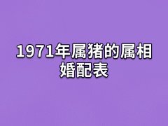 1971年属猪的属相婚配表