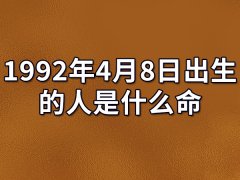 1992年4月8日出生的人是什