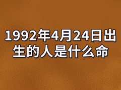 1992年4月24日出生的人是什么命：亲情淡薄（晚年运势旺）