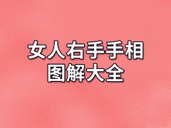 女人右手手相图解大全：生命线/智慧线/事业线/感情线/婚姻线