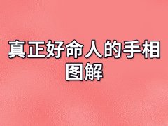 真正好命人的手相图解：对自身要求严格（婚姻幸福）