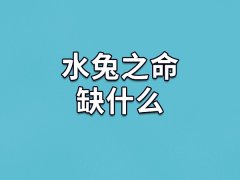 水兔之命缺什么：耐心/爱心/勇气