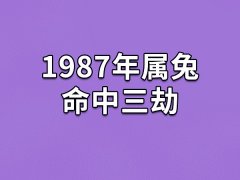 1987年属兔命中三劫：30岁/36岁/51岁