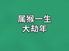 属猴一生大劫年：22岁/31岁/43(岁情劫财劫恩怨劫)