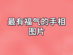 最有福气的手相图片：容易收获财富（大富大贵的命）