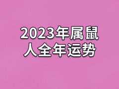 2023年属鼠人全年运势：运