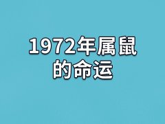 1972年属鼠的命运：命运一