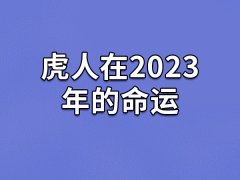 虎人在2023年的命运：运势