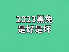 2023黑免是好是坏：值得期待的年份(事业运很旺)