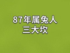 87年属兔人三大坎：35岁/37岁/50岁(感情/财富/健康)