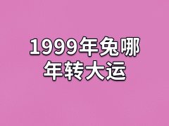 1999年兔哪年转大运：虎年/鼠年(事业感情运提升)