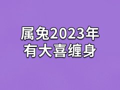 属兔2023年有大喜缠身：家里添丁(财源滚滚)